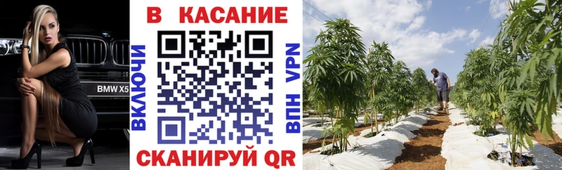 Названия наркотиков Свободный СК  Псилоцибиновые грибы  Метамфетамин  Гашиш  КОКАИН  МЕФ 
