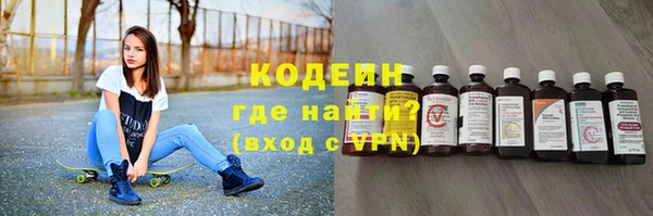 индика Баксан