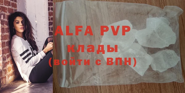 индика Баксан
